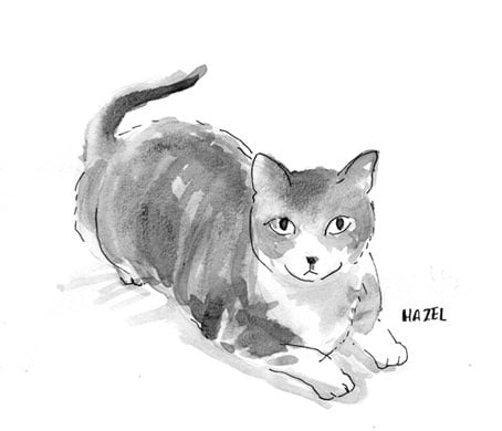Hazel