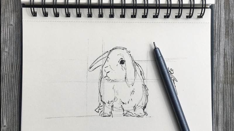 3-min dog sketch and the rabbit drawn with basic shapes