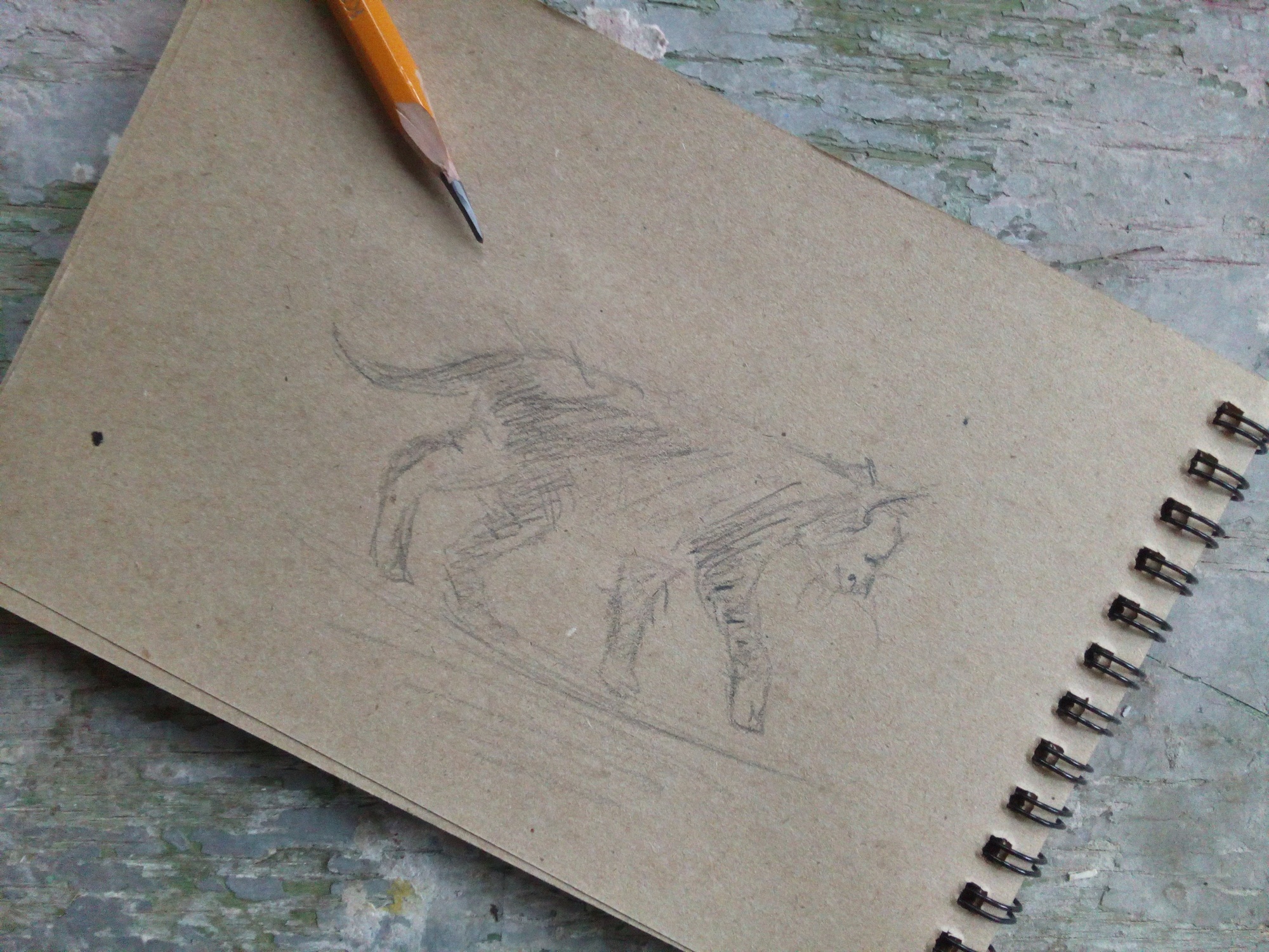 3 min kitten sketch - student project