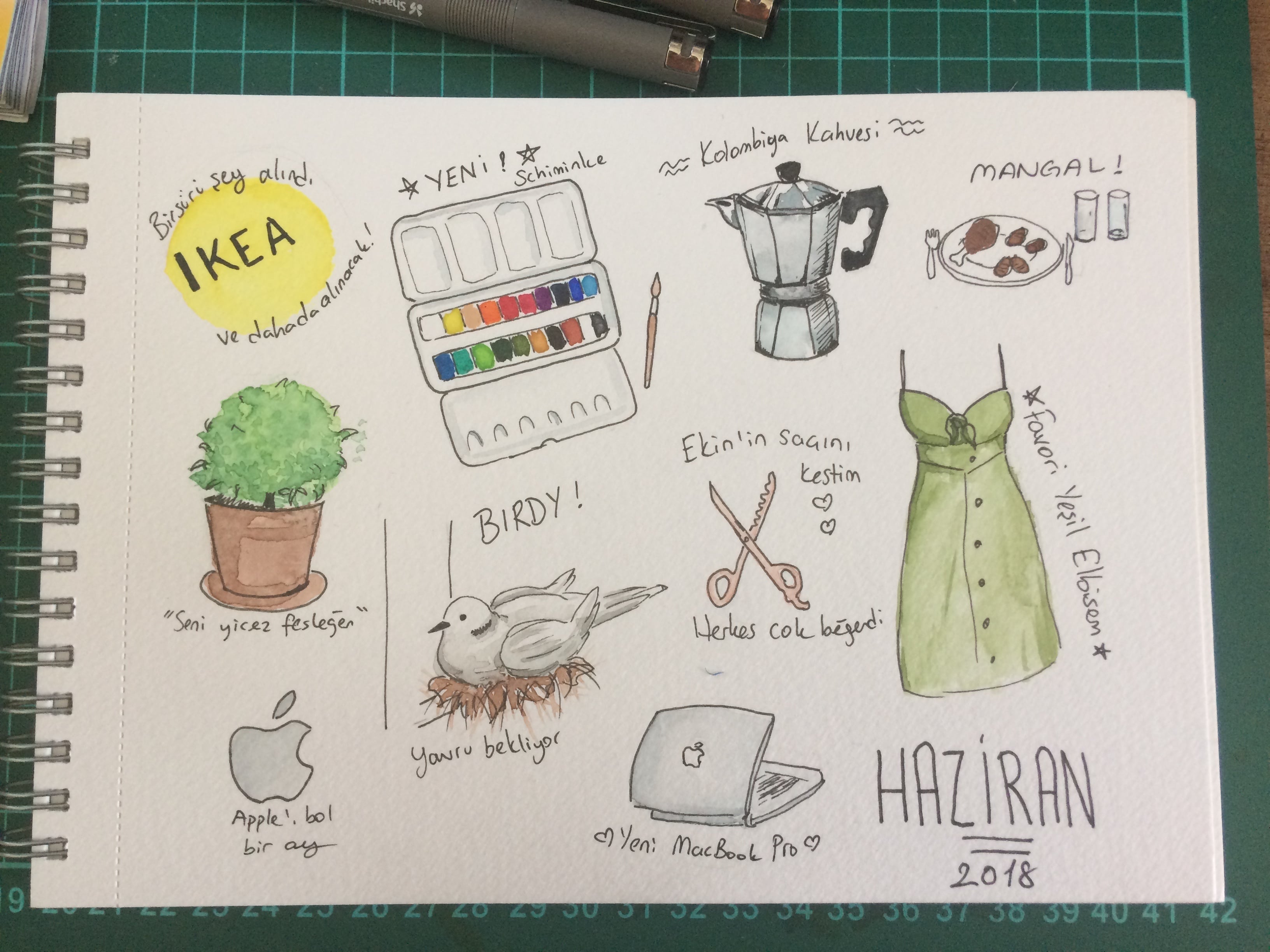 june - student project
