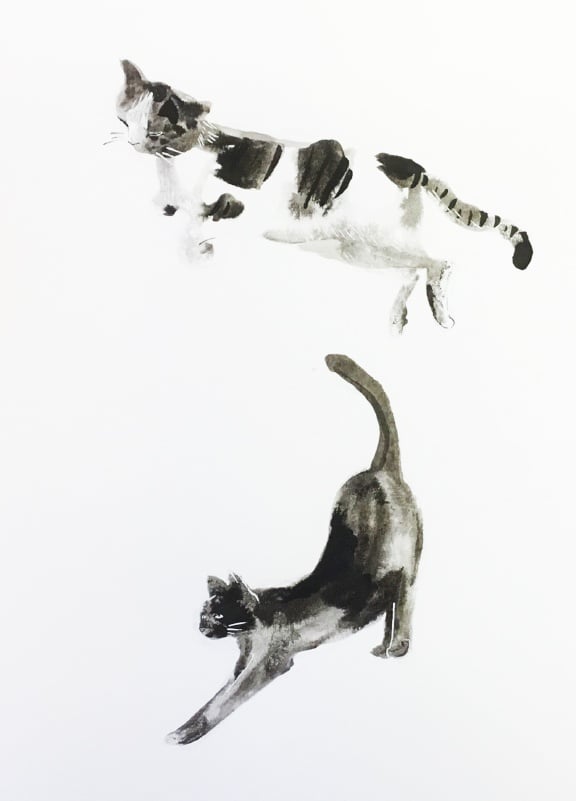 Inky Cat 1 - student project
