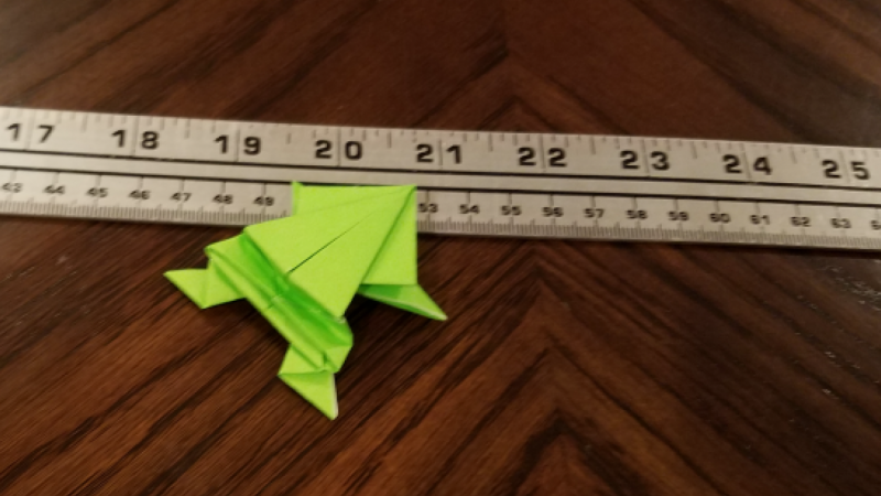 This Frog Can Jump Far!