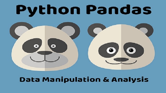 Learning pandas. Панда NFT.