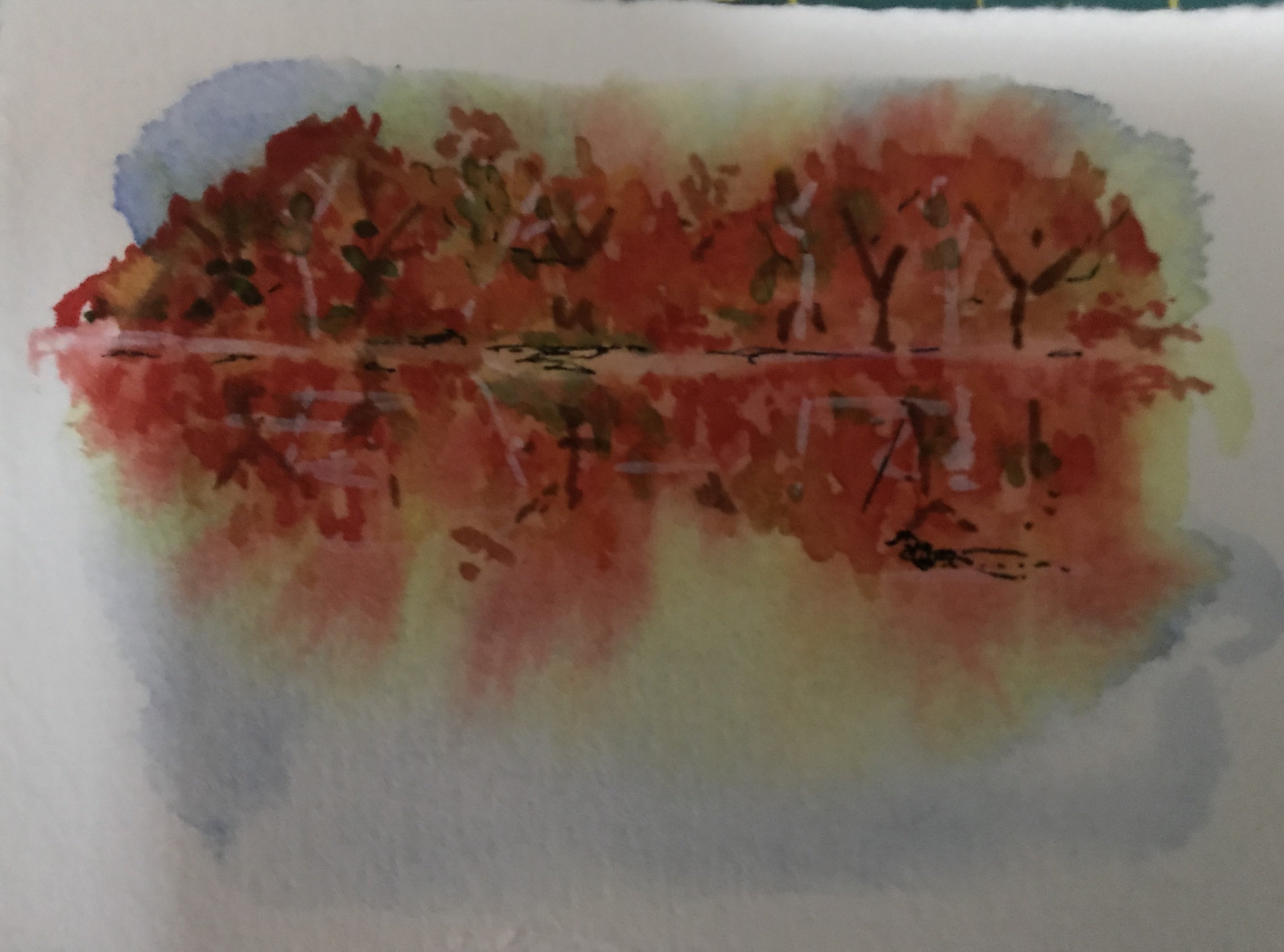 Fall Colours - student project