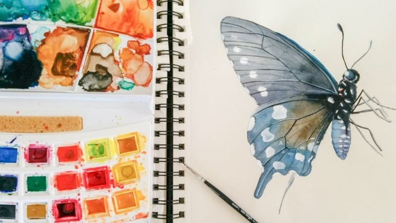 30 days of butterflies