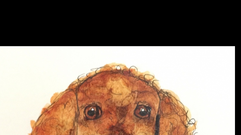 My homework dog
