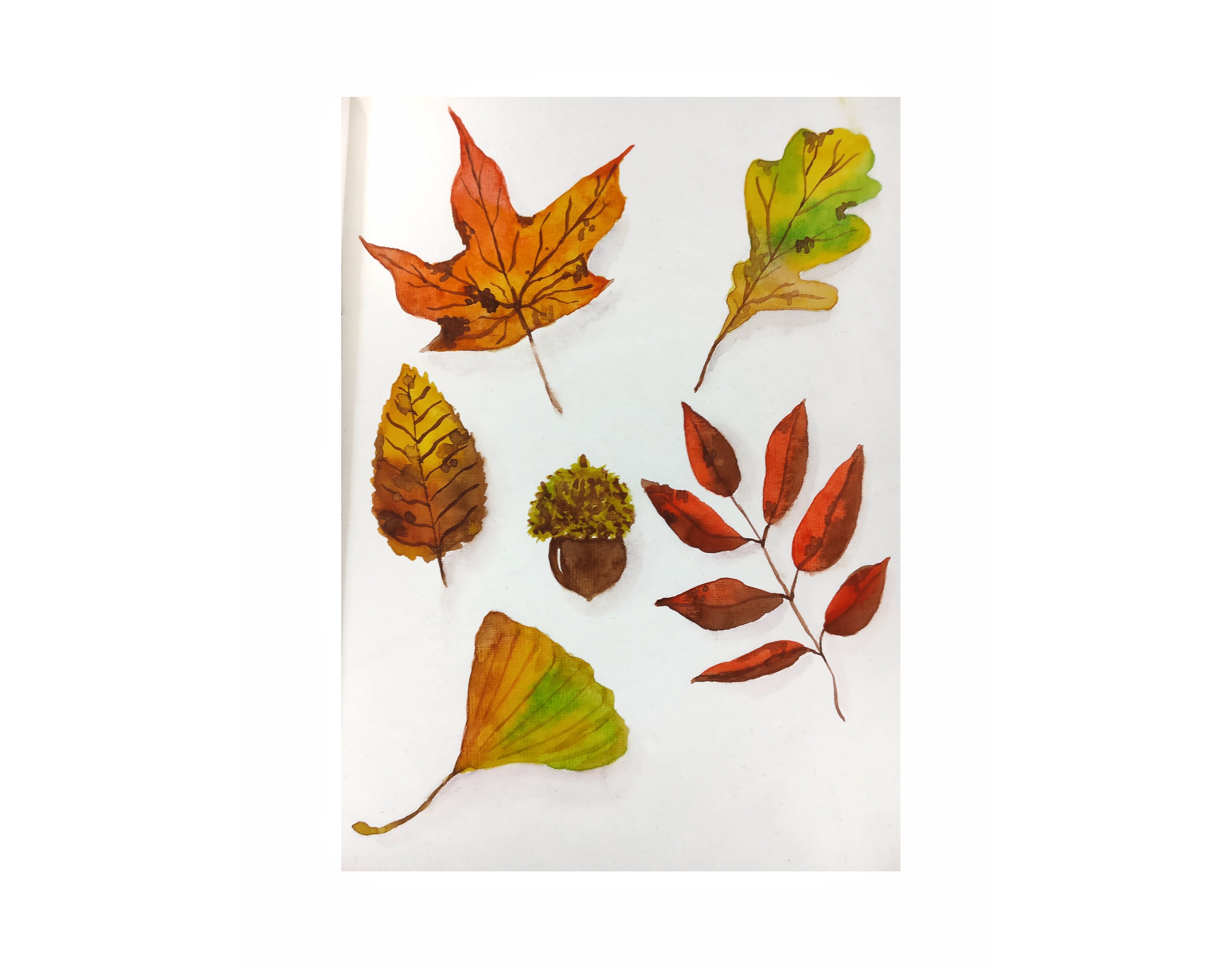 Autumn leaves - student project