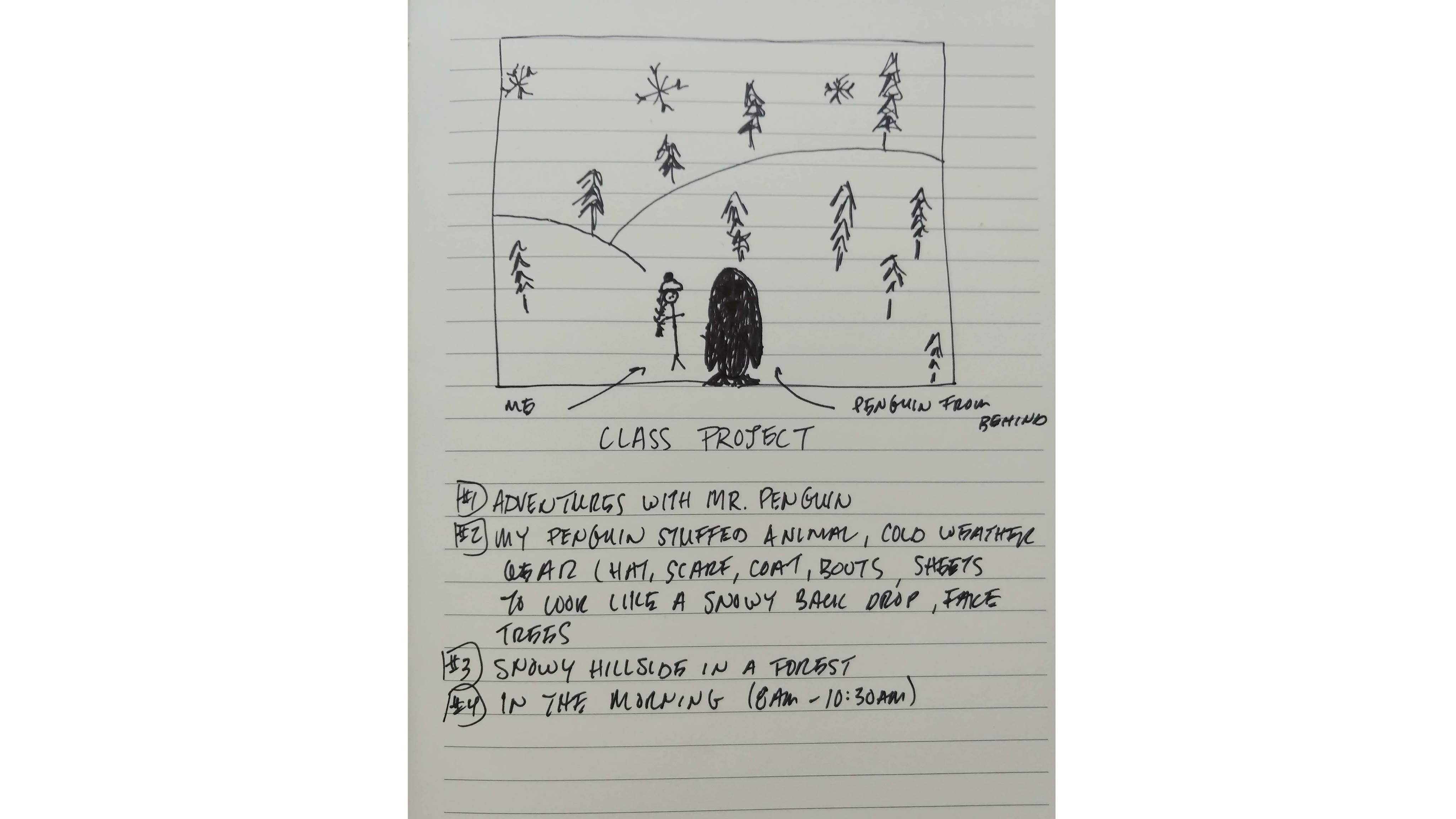 Adventures with Mr. Penguin - student project
