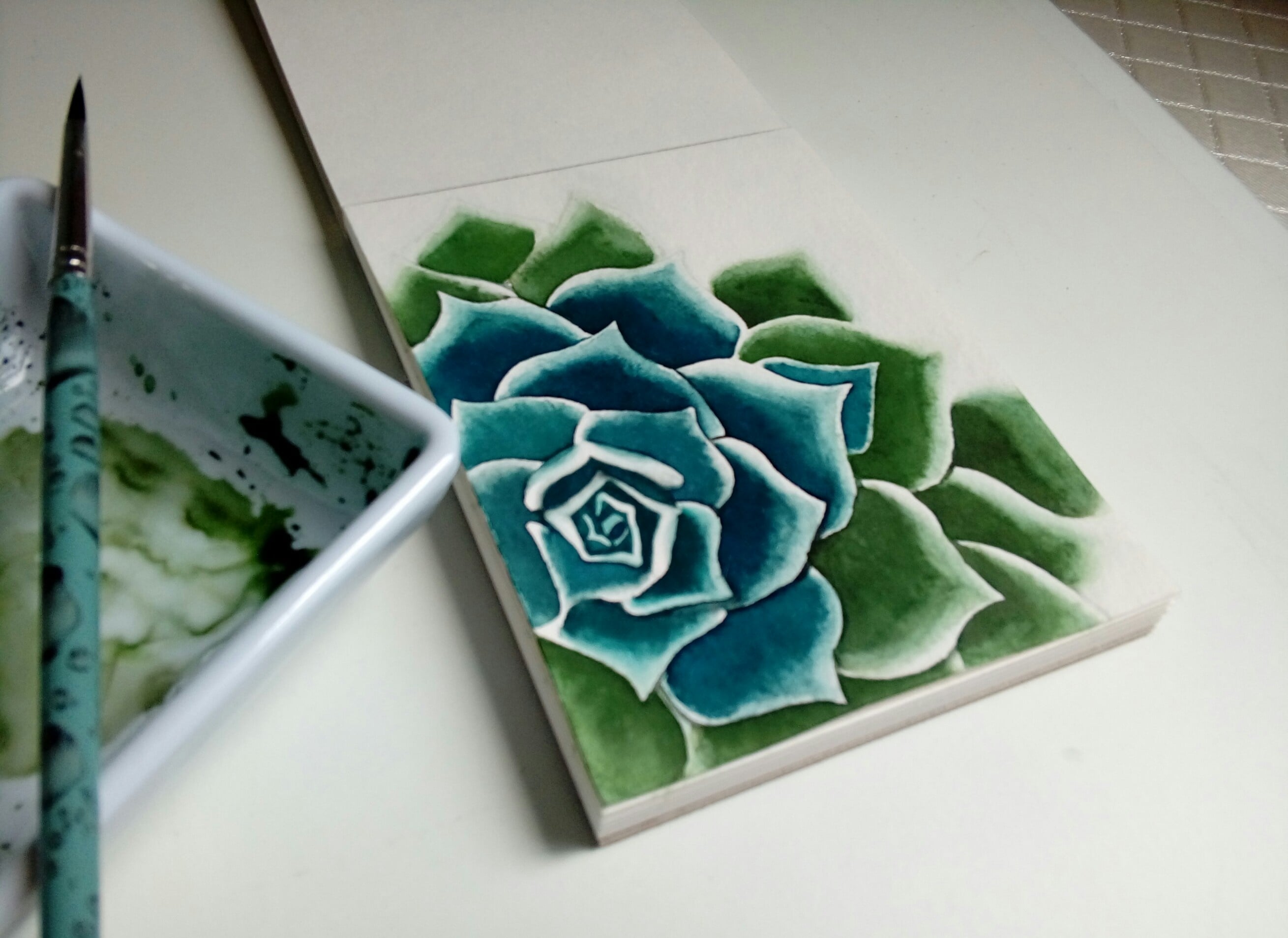 Succulent