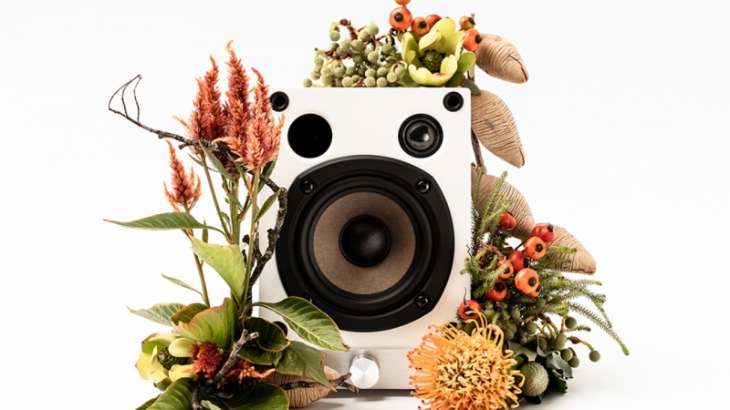 Facebook Ad for Skillshare Class "Product Styling for a Higher Revenue"