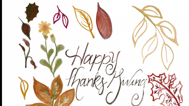 Modern Brush-Lettering & Calligraphy: From Sketch to Screen | Cat