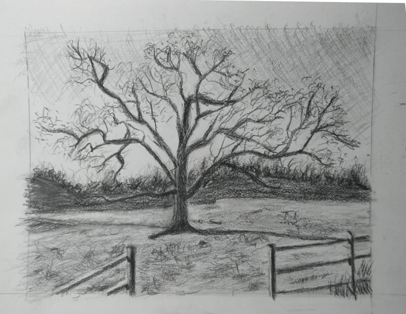 Tree. - student project