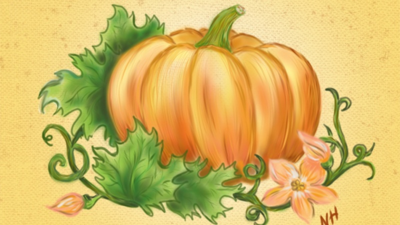 Sweet pumpkin