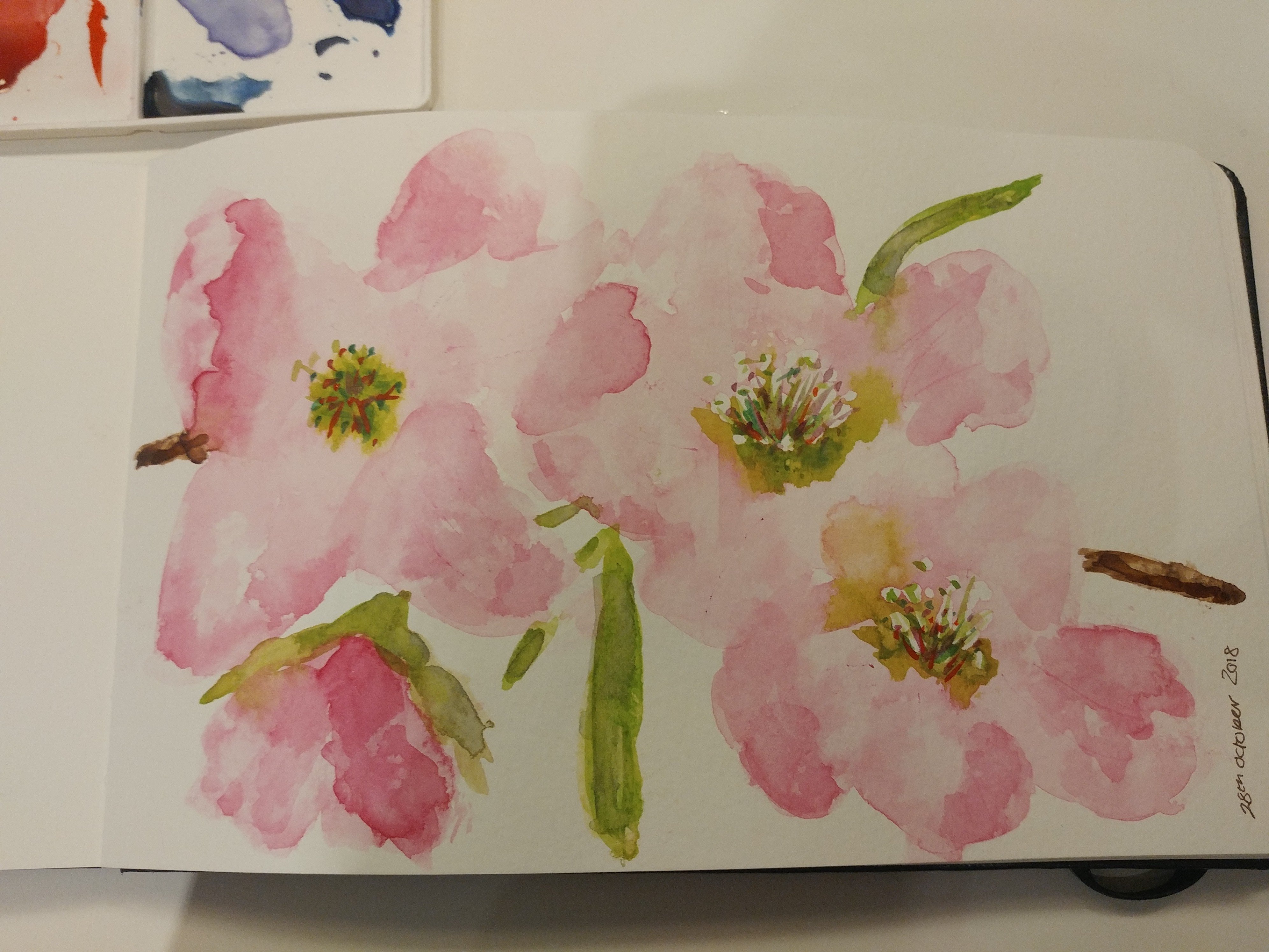 Cherry blossom - student project