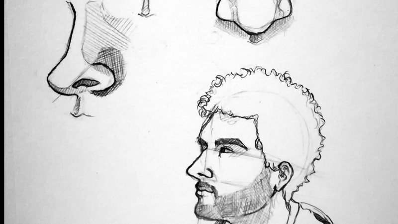 Nose Sketch
