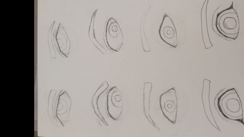 my sets of eyes