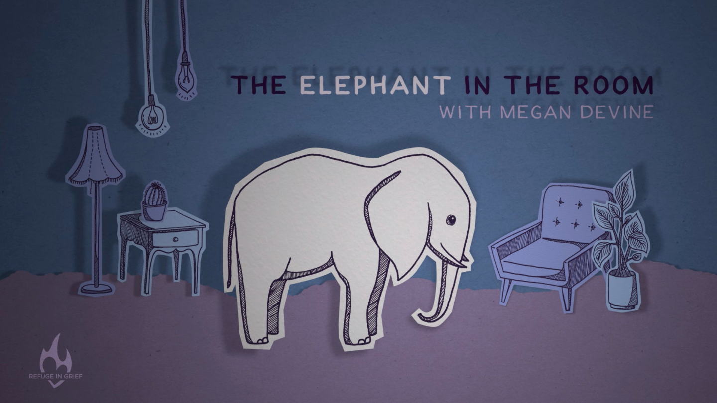The Elephant In The Room - student project