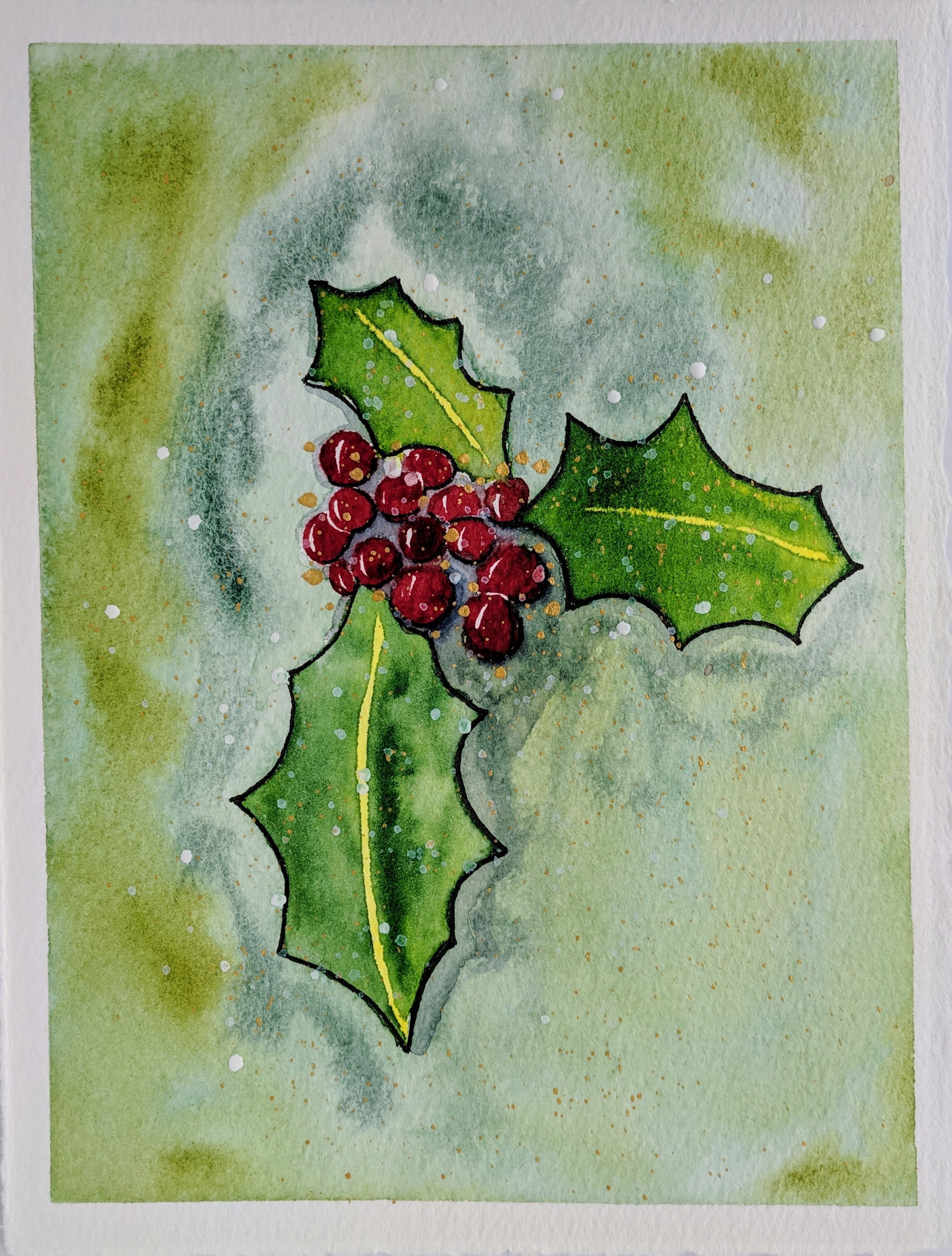 Holly in snow - student project