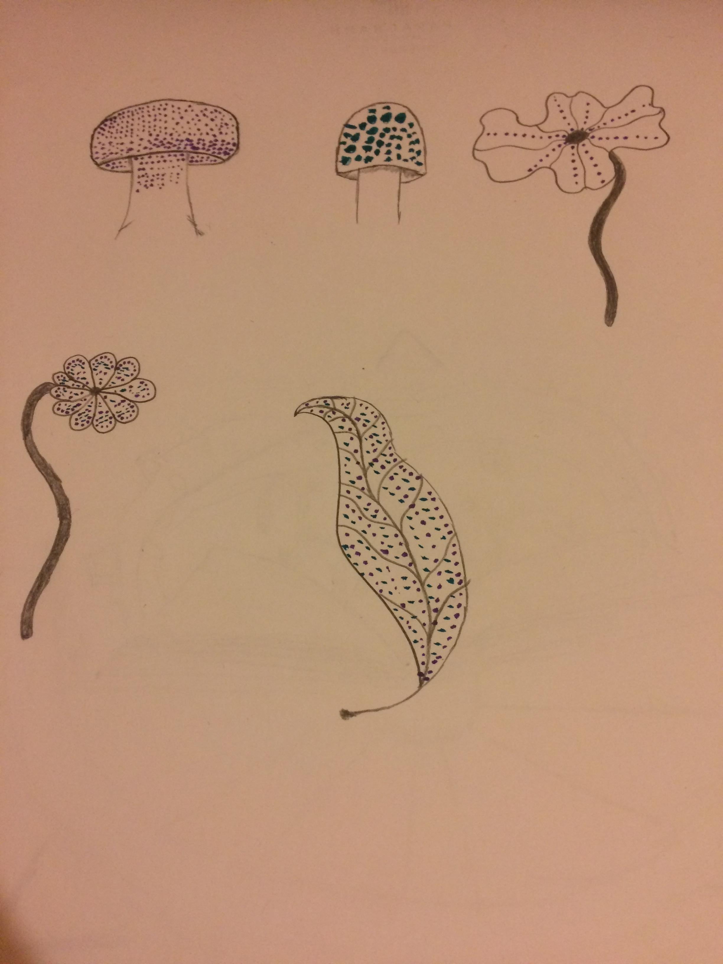 more-projects-from-class-img