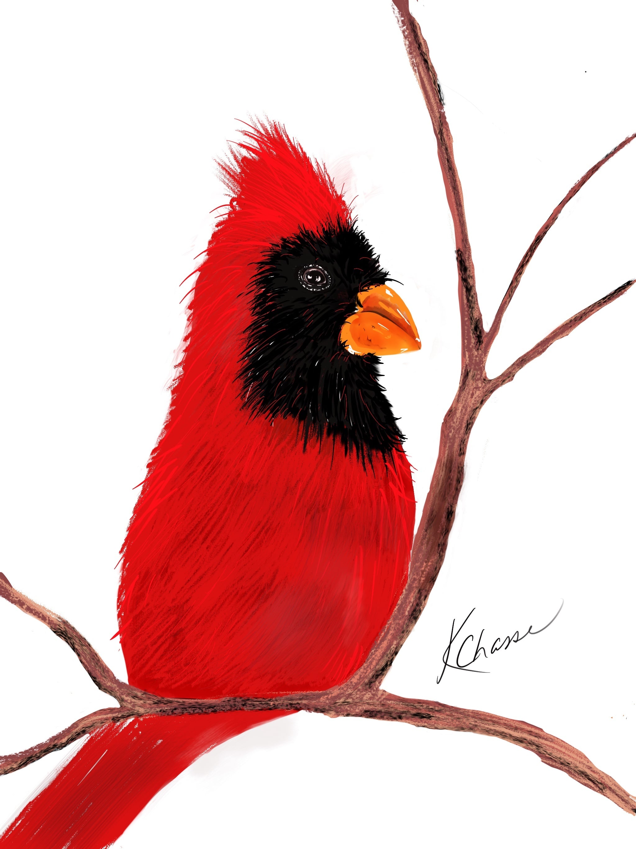 My First Procreate Try - student project