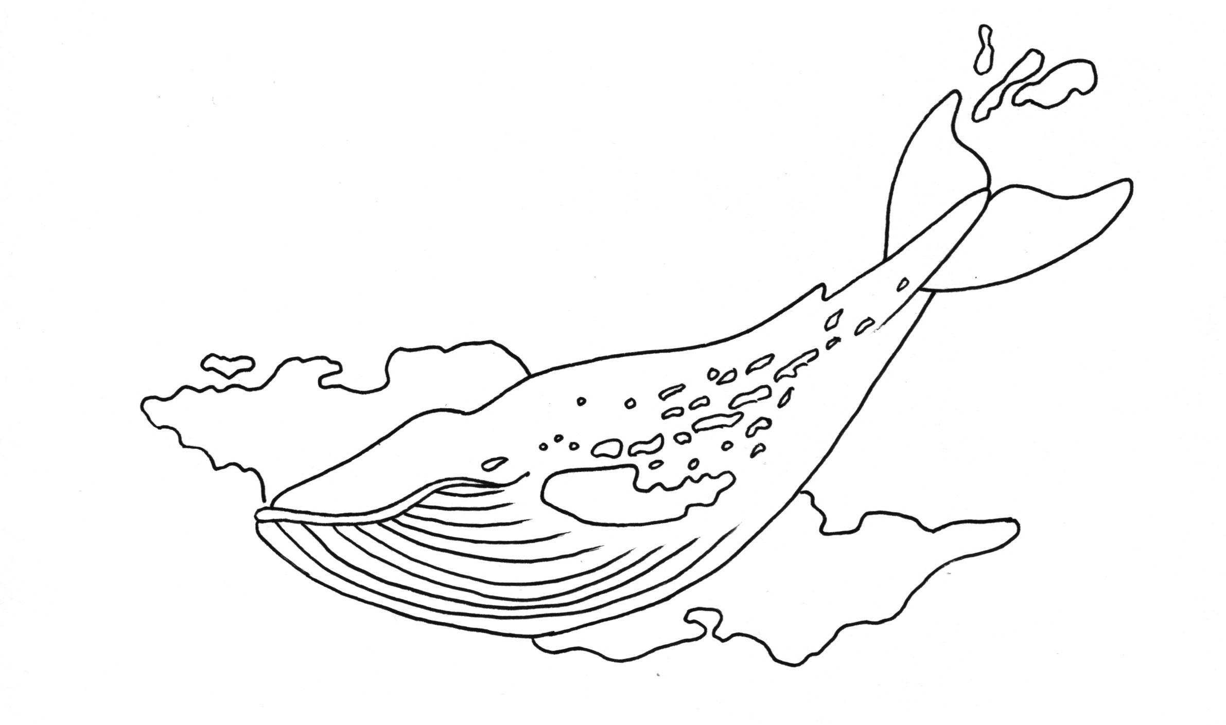 1adf1668