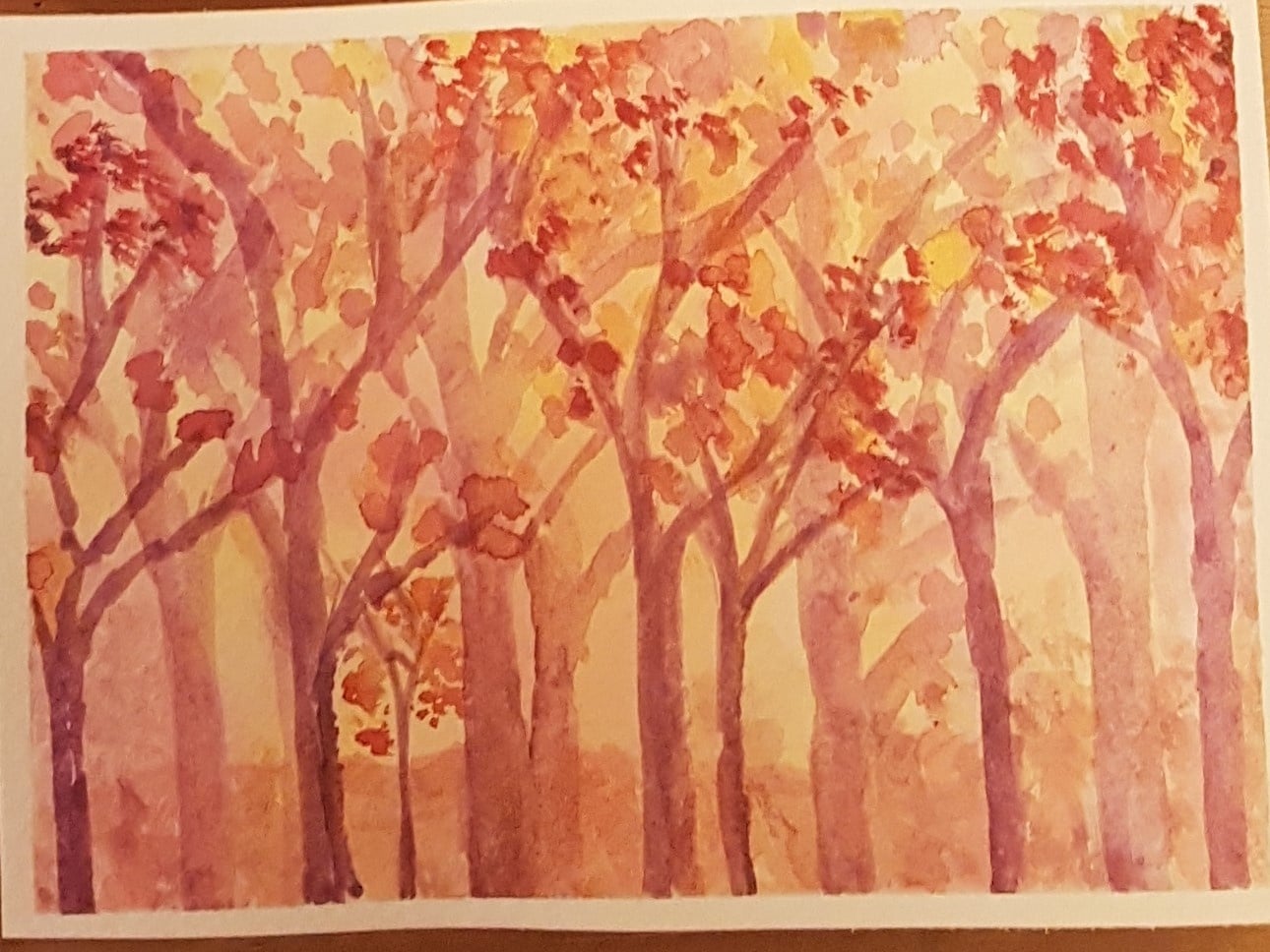 Autumn forest - student project
