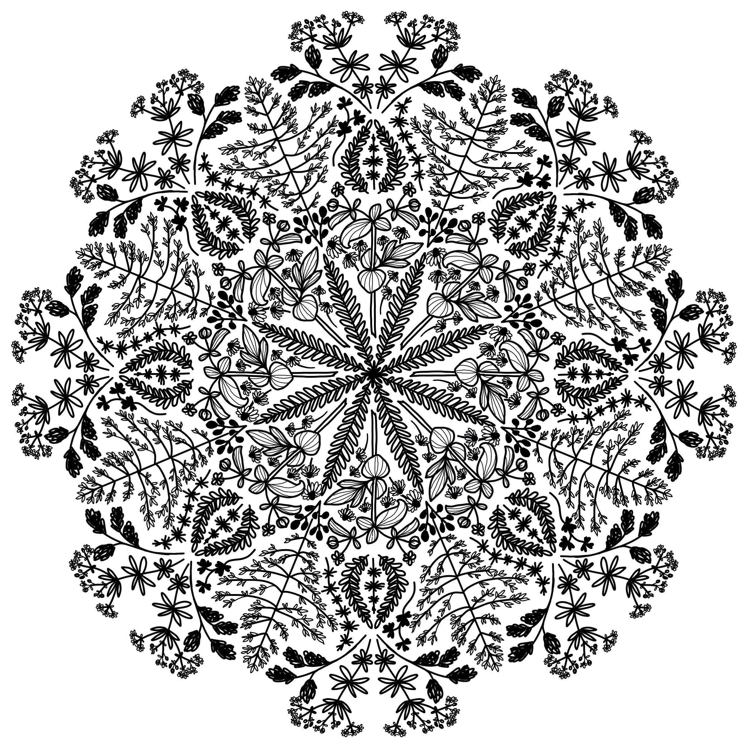 Mandalas