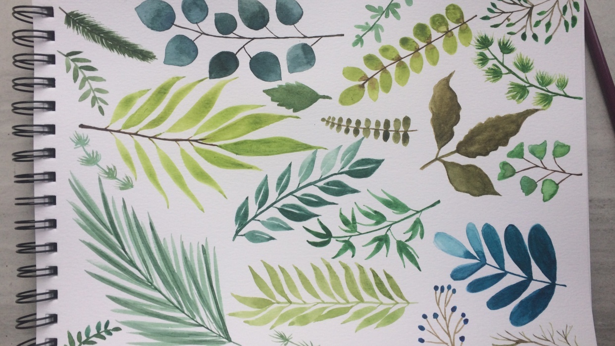 Assorted Leaves - student project