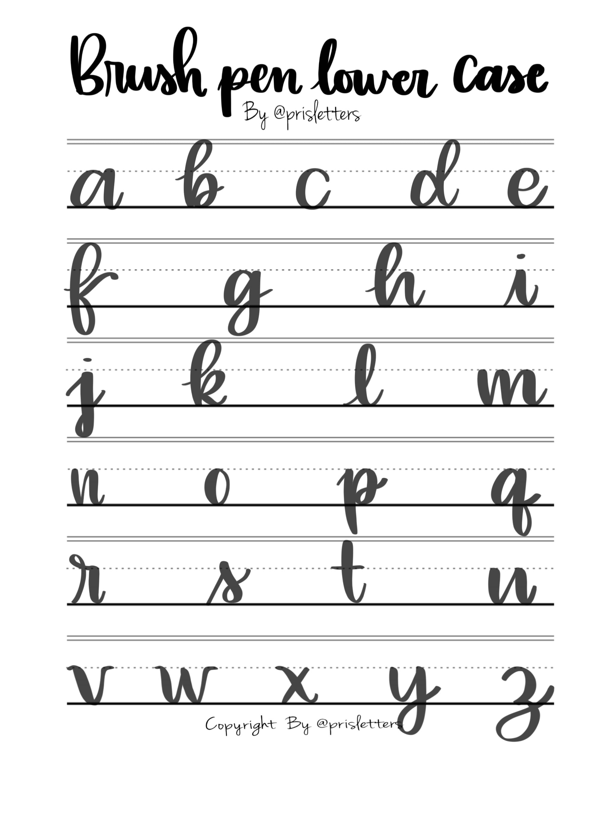 Practice worksheets - student project