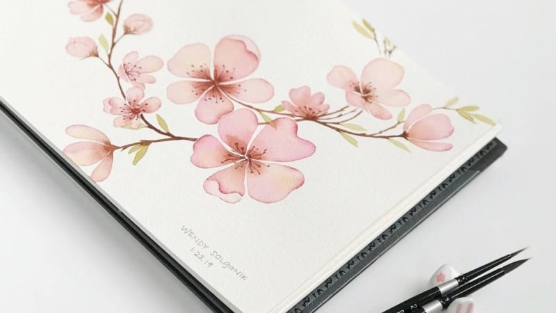 My First Cherry Blossoms