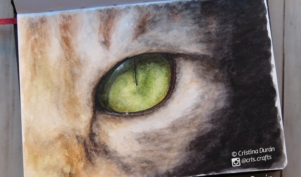 Cat eye - student project