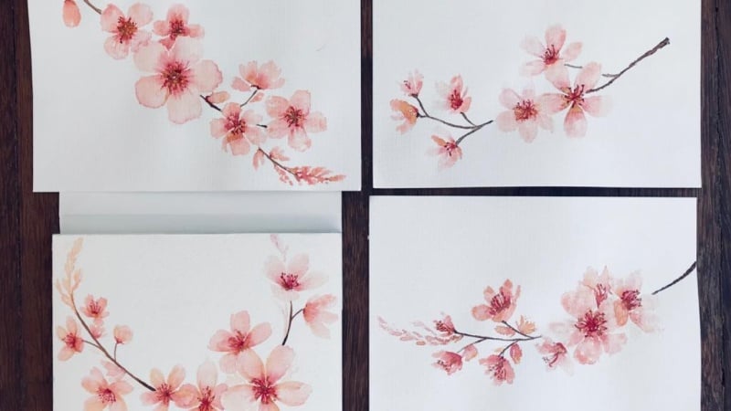 Cherry Blossoms