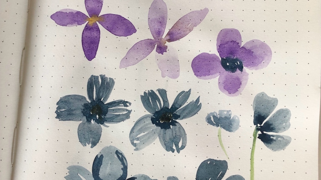 Journaling with anemones - student project
