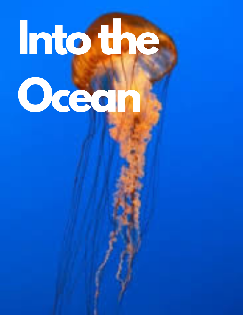Here's my eBook cover! - student project