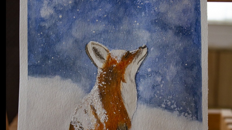 Fox in the Snow