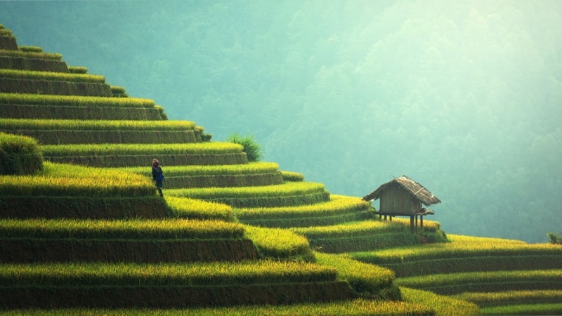 Blockchain solutions for local business (Asia Pacific)