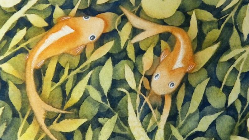Koi Pond