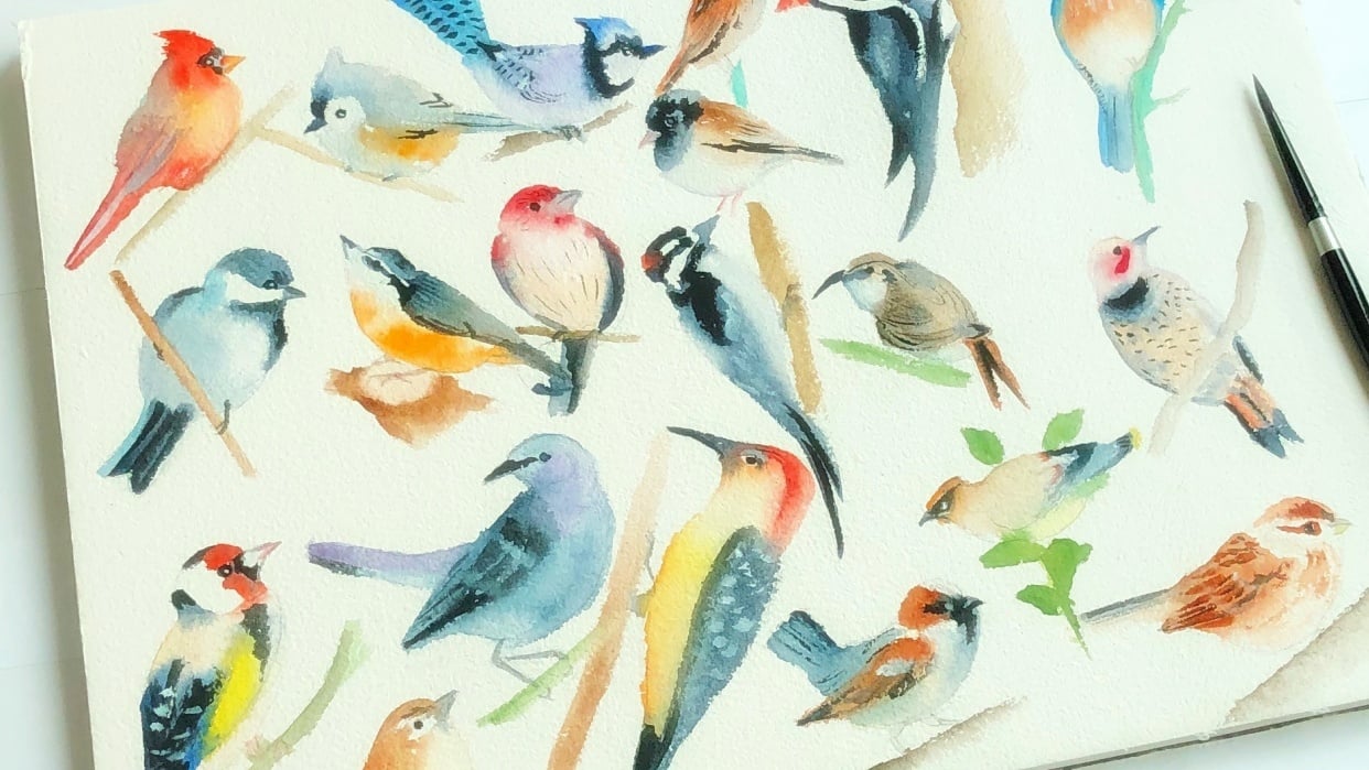 Watercolor Birds - student project