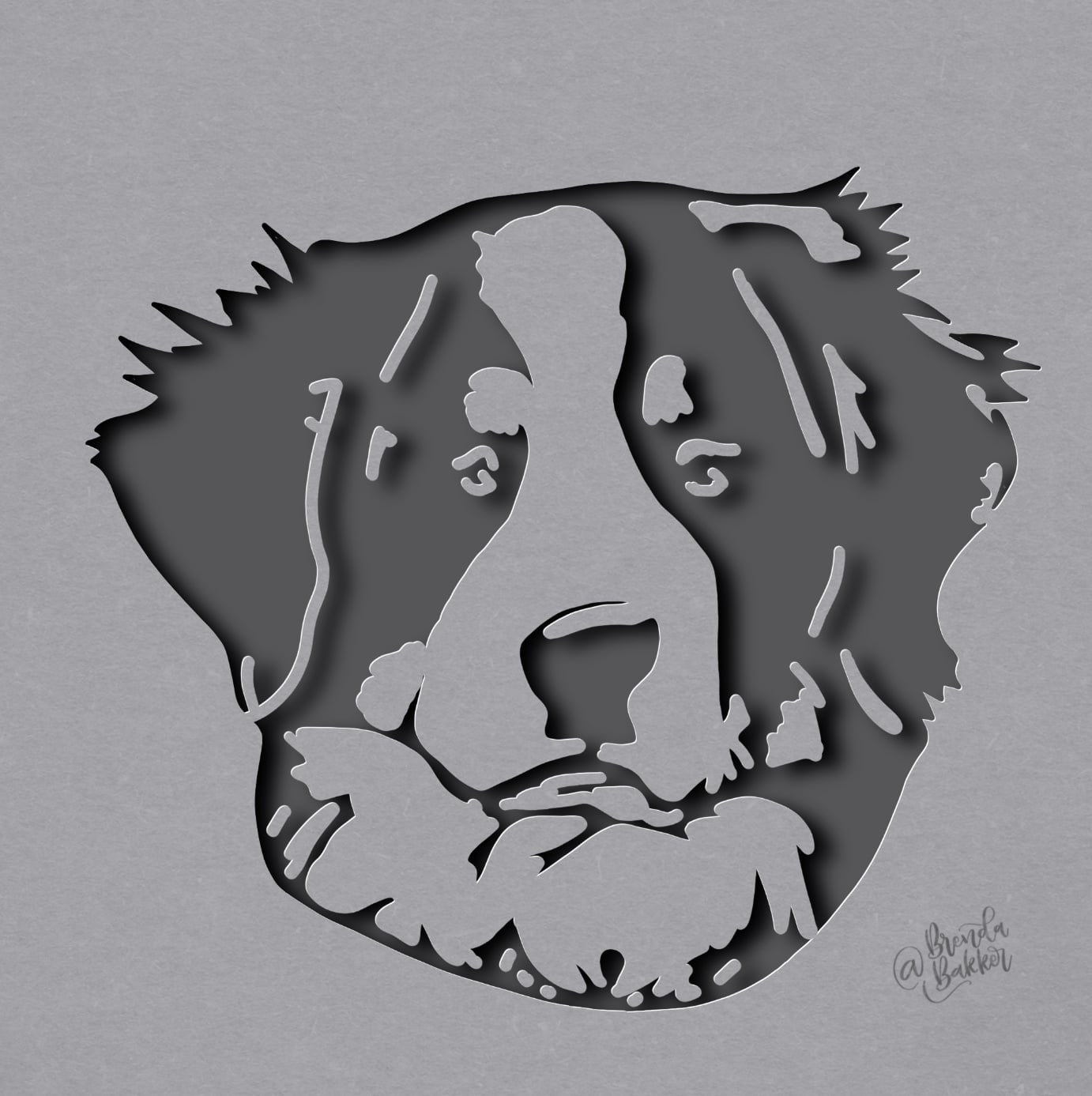 Bernese Mountain Dog - student project