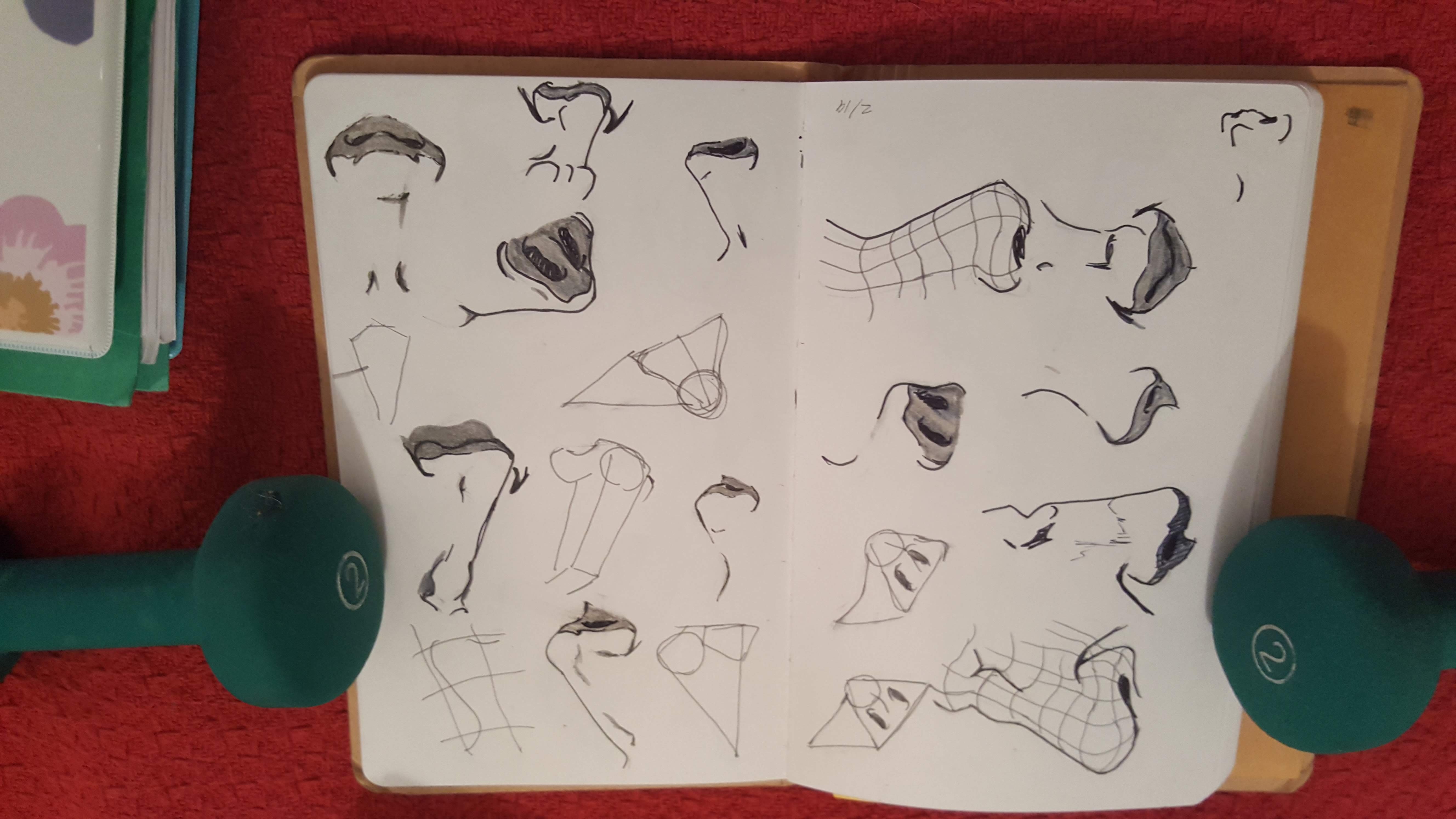 nose study - student project