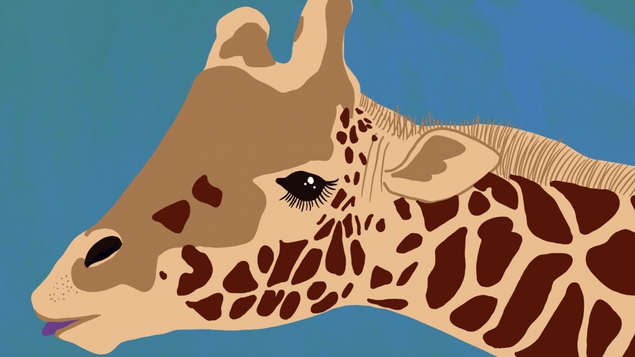 Giraffe - student project