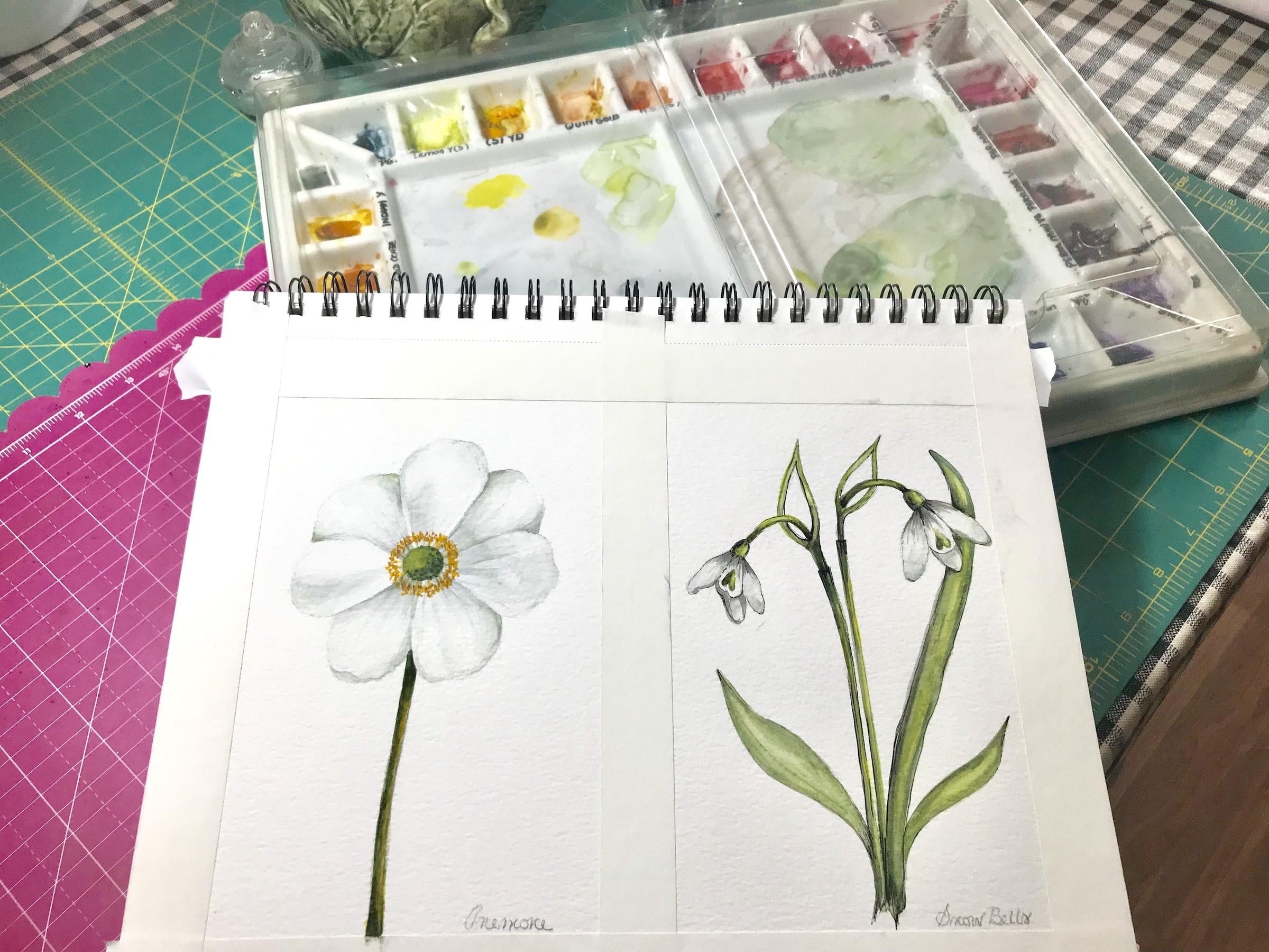 Painting white flowers in Watercolors - student project