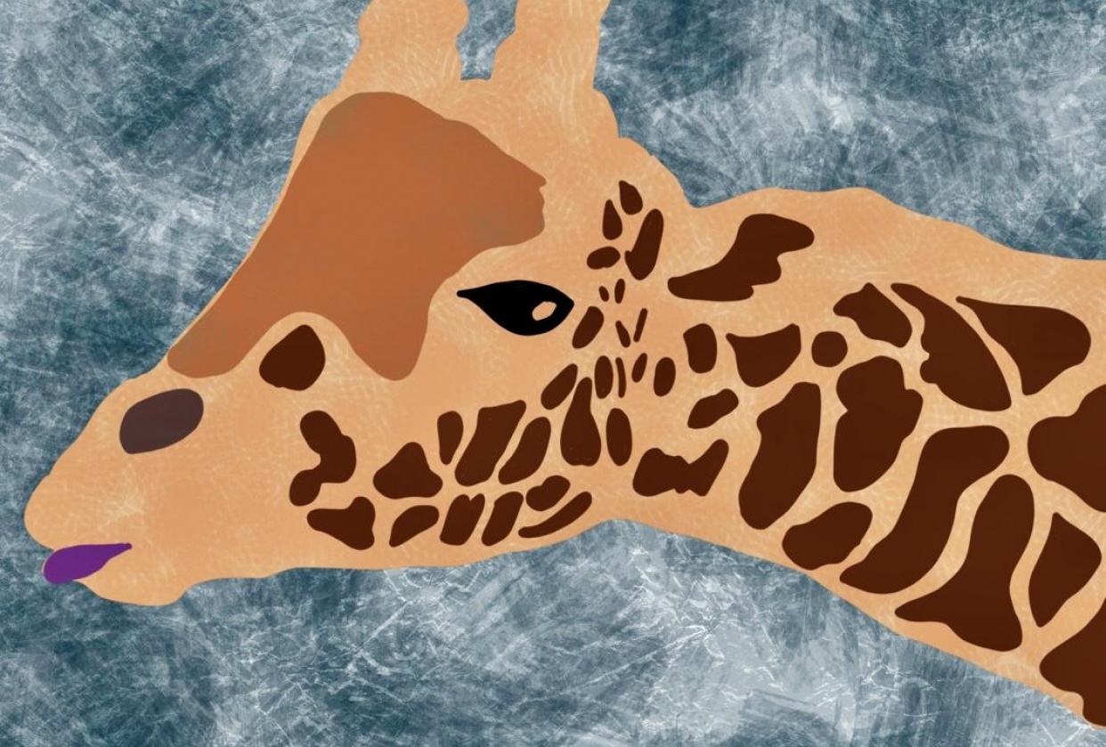 Lori's Giraffe! - student project
