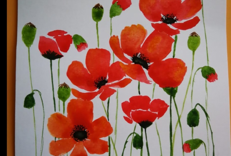 Poppies and Anemones