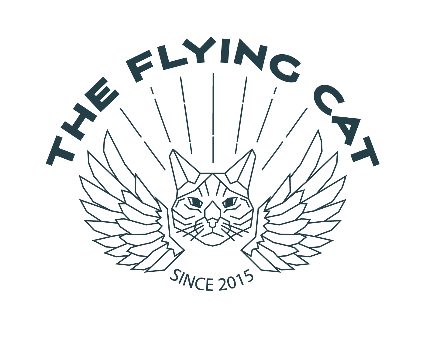 The flying cat - student project
