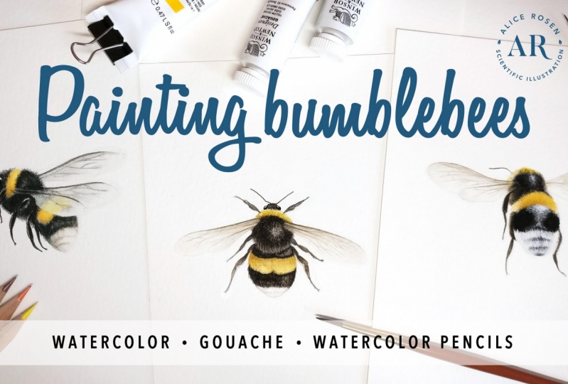 [PUBLISHED] Painting Bees in Watercolor, Gouache & Watercolor Pencils
