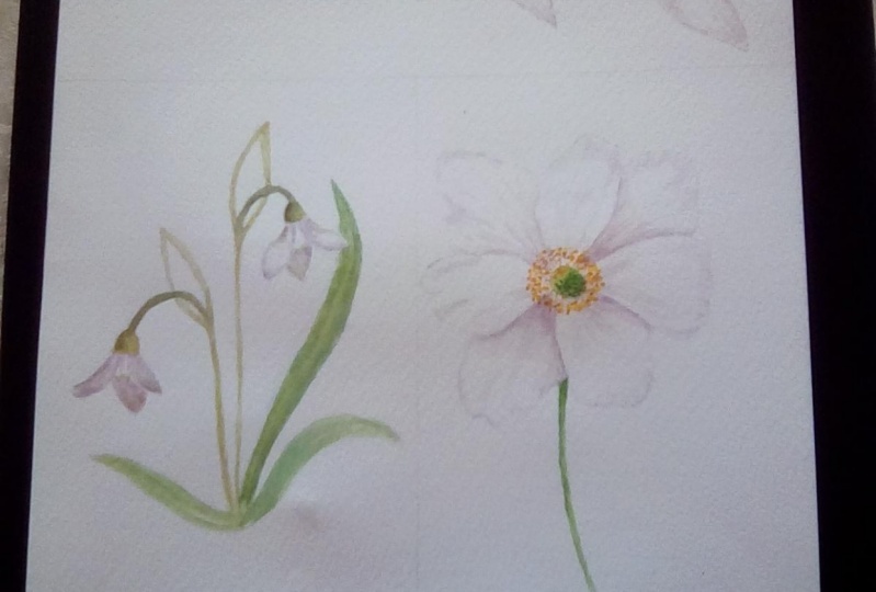 White flowers