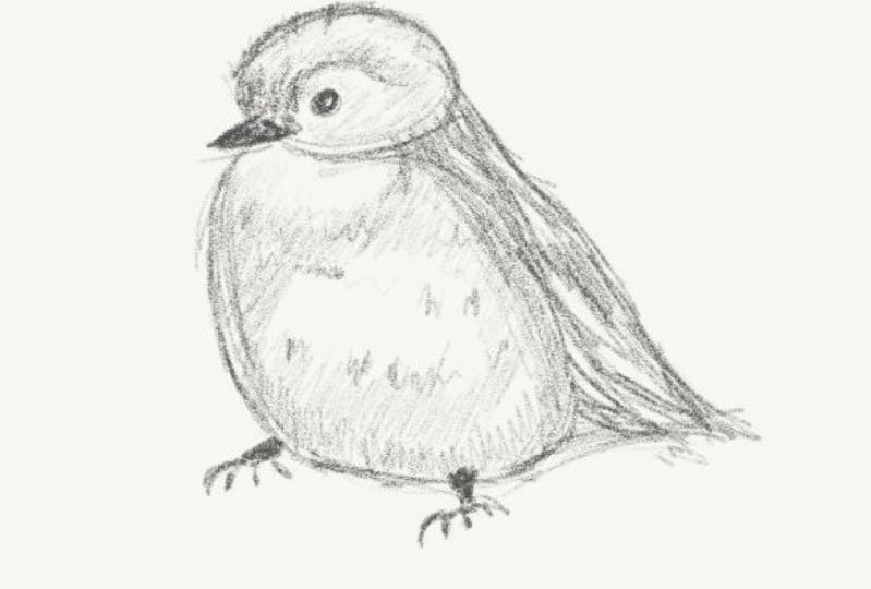Initial sketches