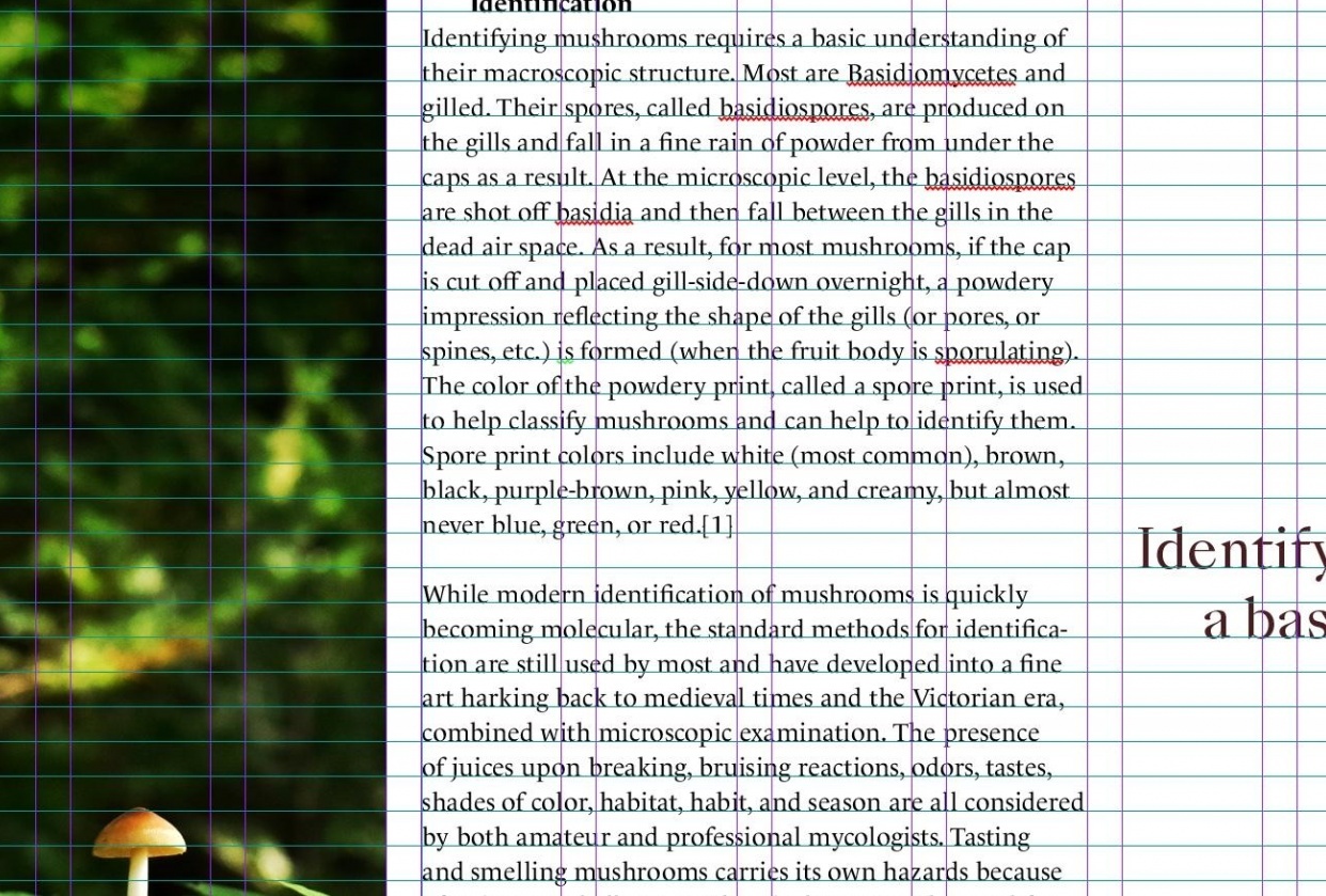 Mushroom Grid - student project