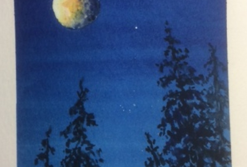 Dark Lunar Sky